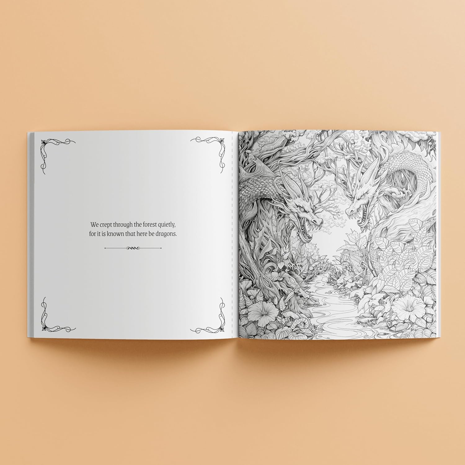 Dragon Riders Colouring Book