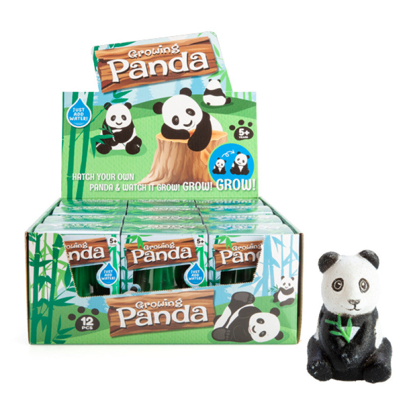 Growing Panda