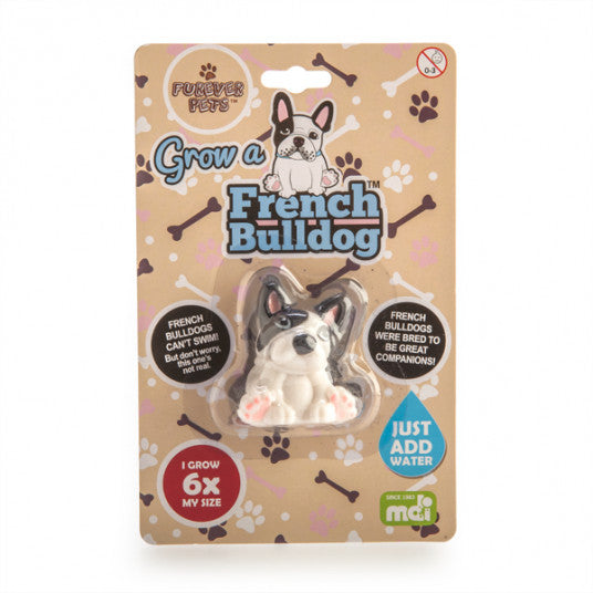 Grow Your Own French Bulldog