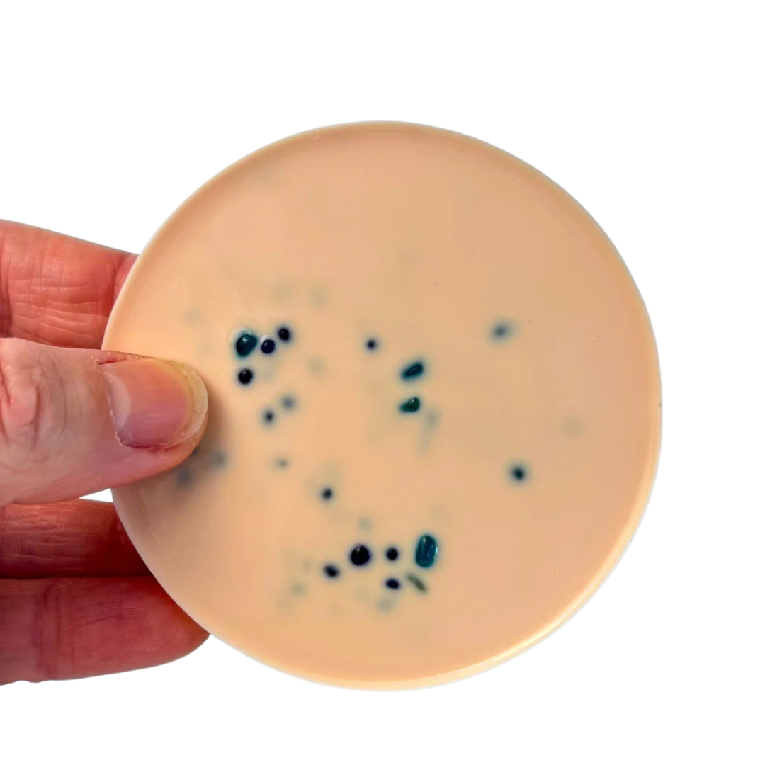 Sensory Picky Pad – Skin |